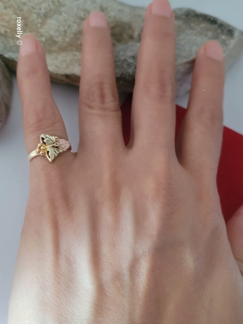 10K Yellow and Rose Gold Black Hills Leaves Ring Size 3, Solid Gold! 👌🎁